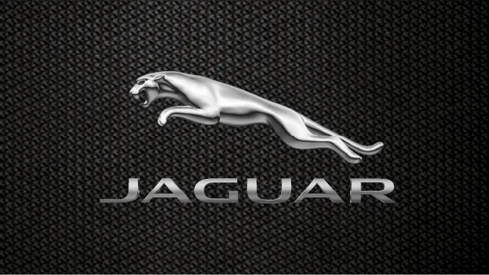 Jaguar Gallery Image